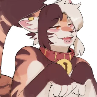Video sticker 😄 Quinn (Amawdz)