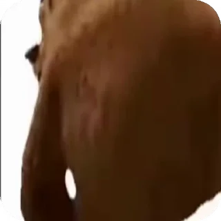 Video sticker 🌟 Больше стиков тут: @stikery4
