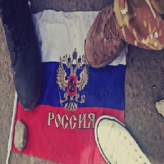 Telegram sticker 👊 Унижение срусаков від пана Рачко