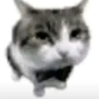 Telegram sticker 🤵 Kitties - @aris_stickers