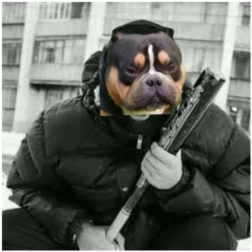 Telegram stiker 🐶 Travlya by @Psihoshizodepres
