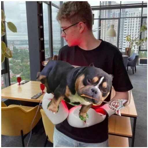 Telegram stiker 🐶 Travlya by @Psihoshizodepres
