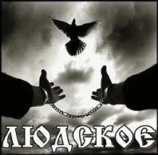 Video sticker 🌟 я хуею :: @fStikBot