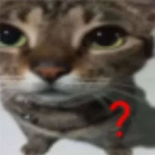 Telegram sticker 🤨 любими котеки монечки🩷 :: @fStikBot