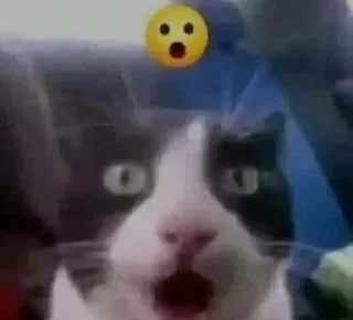 Telegram sticker 😦 любими котеки монечки🩷 :: @fStikBot