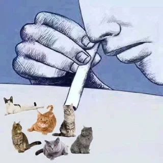 Telegram sticker 👃 любими котеки монечки🩷 :: @fStikBot