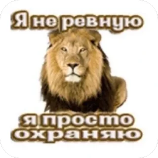 Telegram sticker 🫥 Кисюшаа