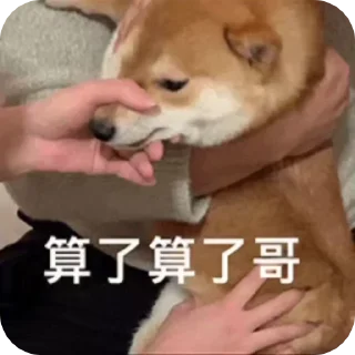 Video sticker 🌟 电话短信轰炸|飞机账号 @xiatianddeye
