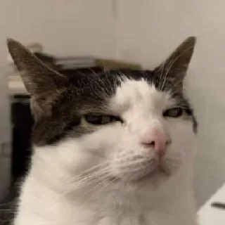 Video sticker 😭 HRB