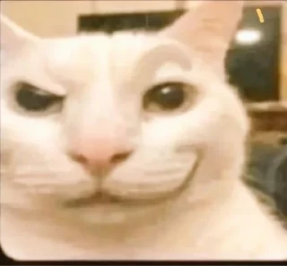 Video sticker 🙂 HRB