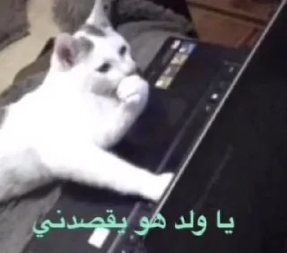 Telegram stiker 🙂 HRB