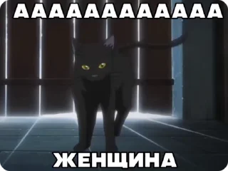 Video sticker 🌟 silly блич (@bleachstickerss) :: @fStikBot