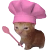 Video sticker 🍲 DDCT