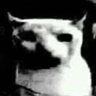 Телеграм стикер 🐱 uncanny cat