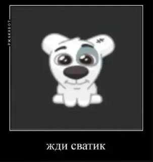 Video sticker 🐕 ДОКС МАЛАКАСОС @TgEmodziBot