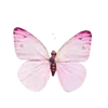 Sticker 🦋 @gh158c   @Emoji_1_1_1
قنــاة راقــت لــي @TgEmodziBot