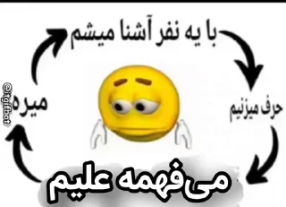 Video sticker 😔 @ohshit17     می‌فهمه کیَم
