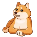 Telegram stiker 🙄 Shiba Inu