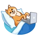 Telegram stiker 💻 Shiba Inu