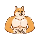 Telegram stiker 💪 Shiba Inu