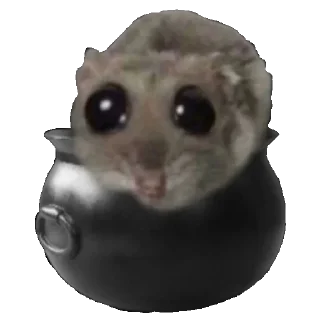 Telegram sticker 🥘 СЛИВЫ 👉🏻 @ia_khochu