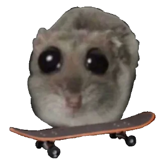 Telegram sticker 🛹 СЛИВЫ 👉🏻 @ia_khochu