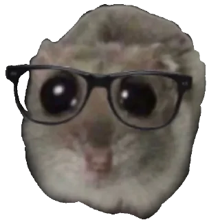 Telegram sticker 🤓 СЛИВЫ 👉🏻 @ia_khochu