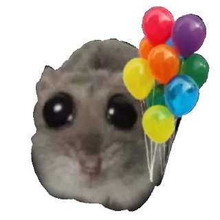 Video sticker 🎈 СЛИВЫ 👉🏻 @ia_khochu