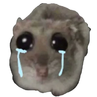 Video sticker 😭 СЛИВЫ 👉🏻 @ia_khochu