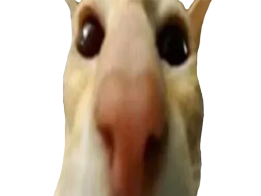 Telegram sticker 💋 fggkko :: @fStikBot