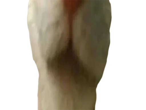 Telegram sticker 🐵 fggkko :: @fStikBot