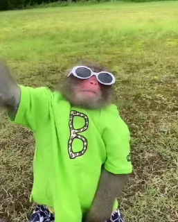 Video sticker 🌟 @kzpil ™ 's 𝐅𝐚𝐯᯽𝐬𝐭𝐢𝐜𝐤𝐞𝐫