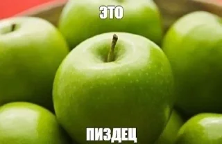 Video sticker 🤨 Не заходи сюда👉🏻 @sozdsti_bot