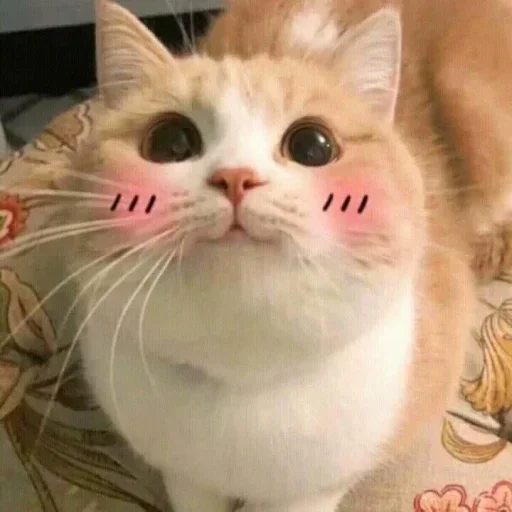 Telegram sticker ☺ izzy