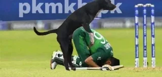 Telegram sticker 🌟 ZIMBABAR :: @fStikBot