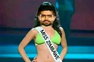 Video sticker 🌟 ZIMBABAR :: @fStikBot