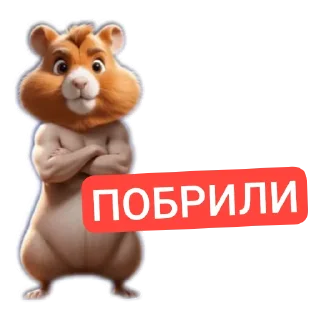 Telegram sticker 🧸 BIT CRYPTO @BCTrad