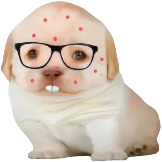 Telegram sticker 🥸 @stickeri_tg 💋<-- стикеры тут