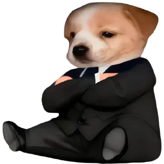 Video sticker 🤑 @stickeri_tg 💋<-- стикеры тут