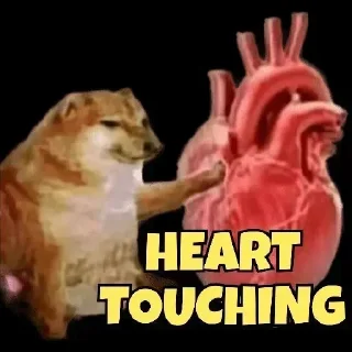 Video sticker 🫀 ISHU KE PERSON STICKERS @ishan_majee