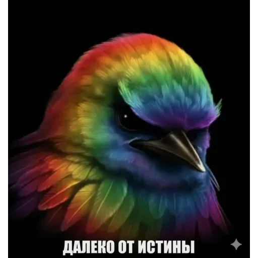 Telegram sticker 🐦 Birds Memes | @Premium_Stikers