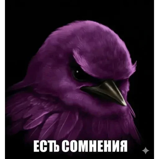Telegram sticker 🐦 Birds Memes | @Premium_Stikers