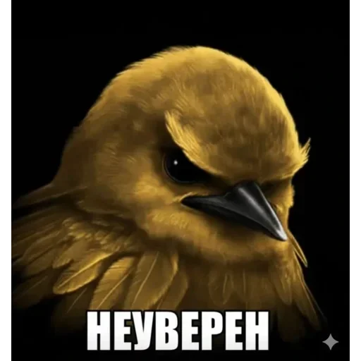 Telegram sticker 🐦 Birds Memes | @Premium_Stikers