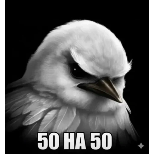 Telegram sticker 🐦 Birds Memes | @Premium_Stikers