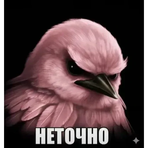 Telegram sticker 🐦 Birds Memes | @Premium_Stikers