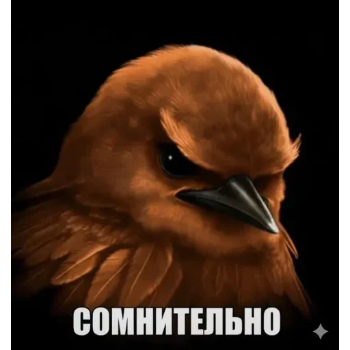 Telegram sticker 🐦 Birds Memes | @Premium_Stikers