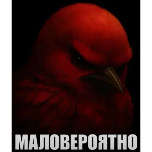 Telegram sticker 🐦 Birds Memes | @Premium_Stikers