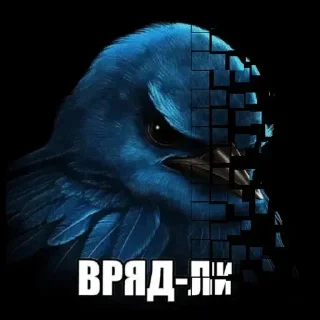 Video sticker 🐦 Birds Memes | @Premium_Stikers