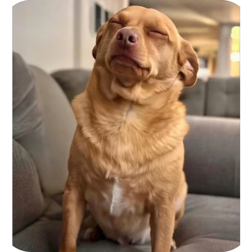 Telegram sticker 🫥 @chat_a2 v6 :: @fStikBot