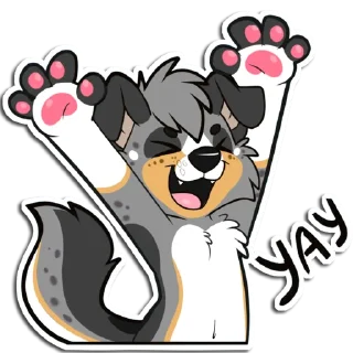 Video sticker 😄 Tucker